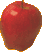 manzana
